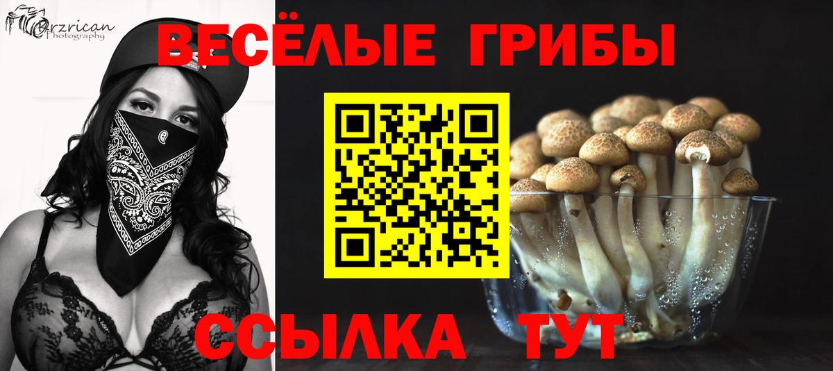 Галлюциногенные грибы прущие грибы Барнаул